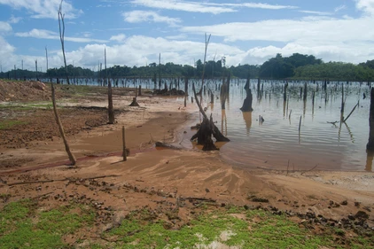 Am Brokopondo-Stausee, Suriname