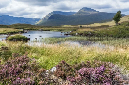 Rannoch Moor