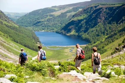 Wicklow