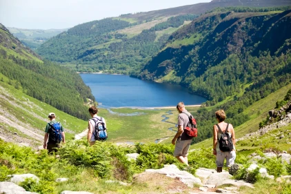 Wicklow
