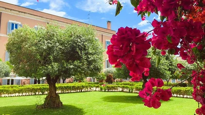 Garten des Hotels Kolbe