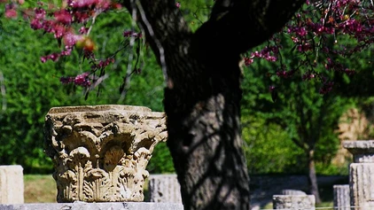 Frühjahrsblüte in Olympia auf dem Peloponnes