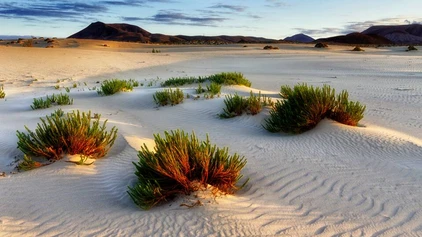Dünenlandschaft im Naturpark Corralejo auf Fuerteventura