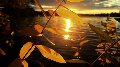 Finnlands Seen – ein einziges Funkeln!