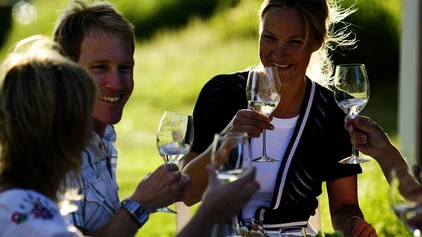Picknick mit Wein im Grünen