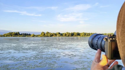 Im Donaudelta