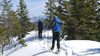 Schneeschuhwanderung im Wald