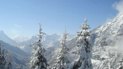 Winterliche Berglandschaft