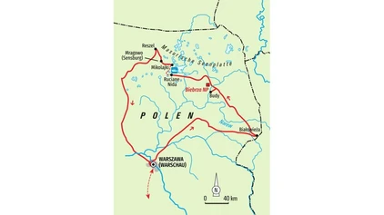 Mohnblumenwiese