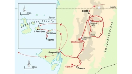 Galapagos-Riesenschildkröte