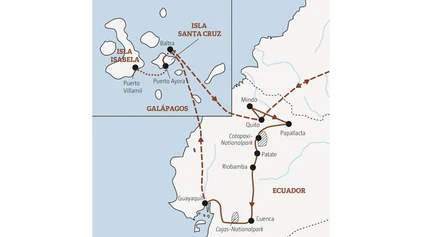 Riesenschildkröten auf Galápagos