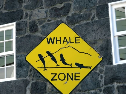Wal-Warn-Schild