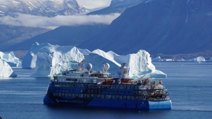 Ocean Albatros im Sonnenschein mit Eisbergen in Grönland