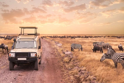 Afrika Reise Safari