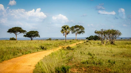 Uganda Reise National Park
