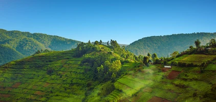 Bwindi Impenetrable Nationarlpark
