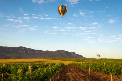 Australien Reise - Hunter Valley