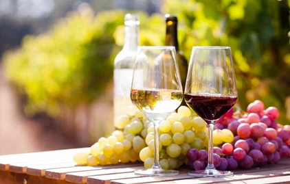Georgien Reise - Wein