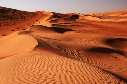Oman Reise - Dünen Wahiba Sands