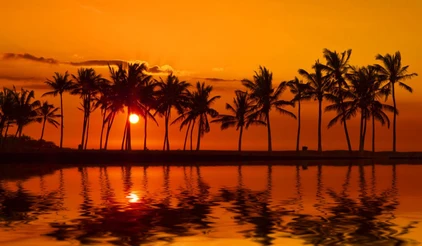Hawaii Reise Sonnenuntergang