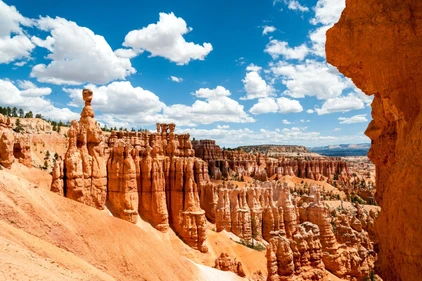 USA Reise Bryce Canyon