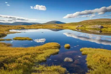 Dovrefjell Nationalpark