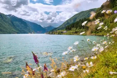 Sognefjord