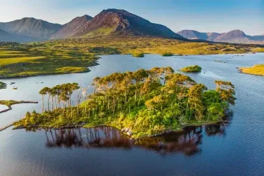 Pines Island, Connemara