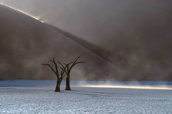 Einsamer Sandsturm im Deadvlei