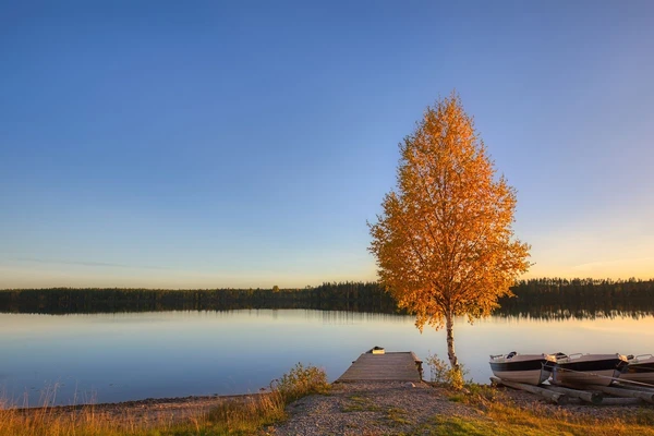 Ruhige Herbststimmung am See in Finnland mit leuchtendem Baum