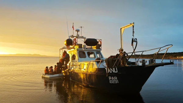 Im ersten Licht des Tages – Boot auf Expedition im Meer von Chile