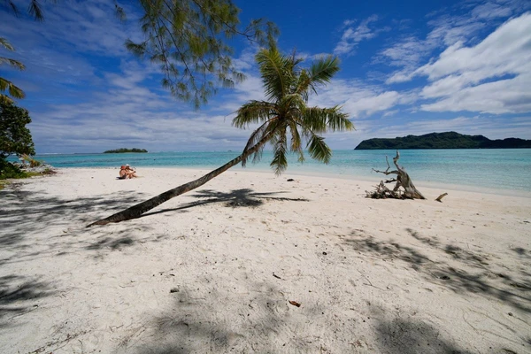 Unter Palmen an einem Motu im Rangiroa-Atoll, Französisch-Polynesien