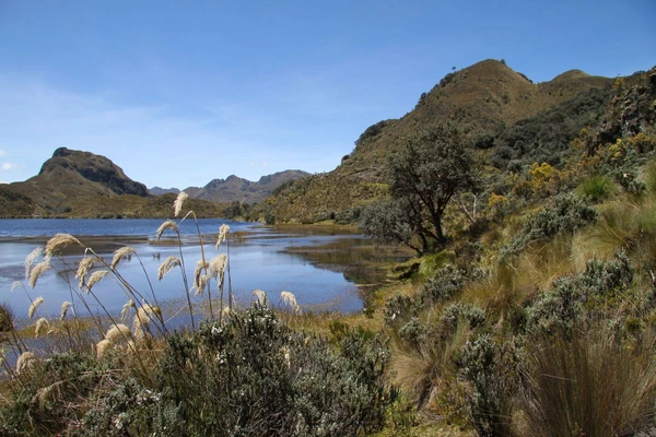 Entdecken Sie die Schönheit des Cajas-Nationalparks in Ecuador