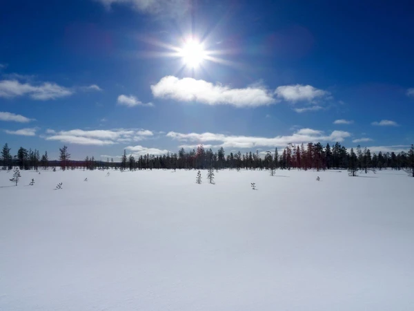 Ruhige Umgebung der Lodge in der schneebedeckten Landschaft Finnlands