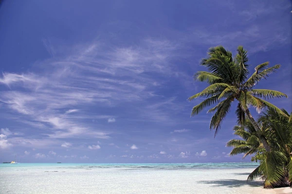Entspannung am Strand von Tahiti in Französisch-Polynesien
