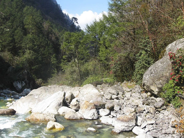 Weg nach Ghunsa – Entdecken Sie die Natur in Nepal