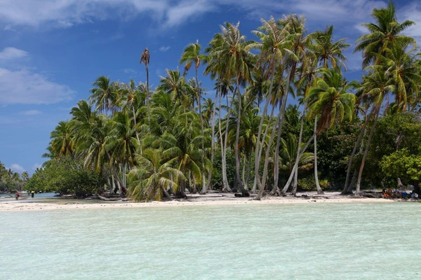Strand Tahiti – Entspannung unter Palmen in Französisch-Polynesien