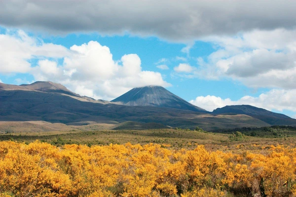 Entdecken Sie den majestätischen Mount Tongariro in Neuseeland mit seiner beeindruckenden Natur