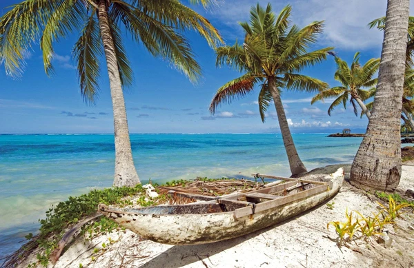 Ein traditionelles Kanu am Strand von Samoa – das Paradies im Südpazifik erleben