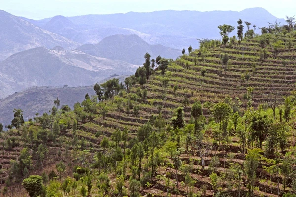 Terrassenfeldbau in Konso, Äthiopien: Entdecken Sie die Kultur und Natur Afrikas