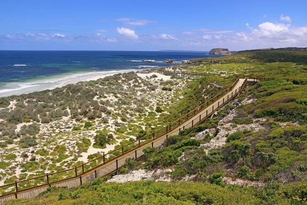 Aussichtspunkt in der Seal Bay auf Kangaroo Island für Naturliebhaber