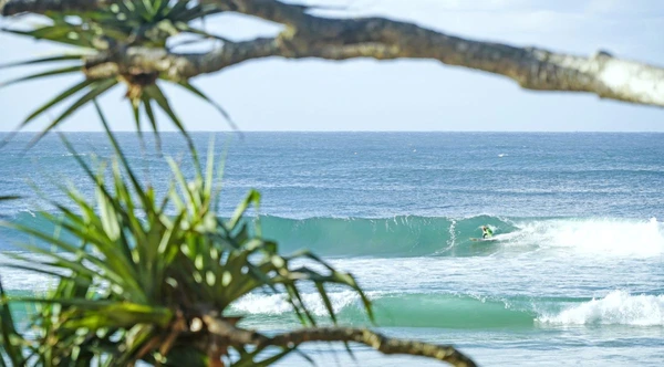 Surfen an der Gold Coast in Queensland, Australien: Wellen und Natur erleben