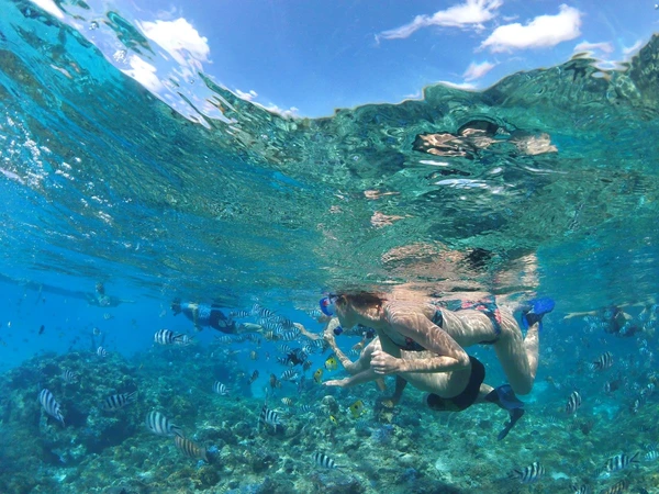Tauchen im Korallengarten der Lagune von Bora Bora
