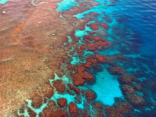 Erleben Sie die beeindruckenden Korallenformationen des Great Barrier Reefs in Australien