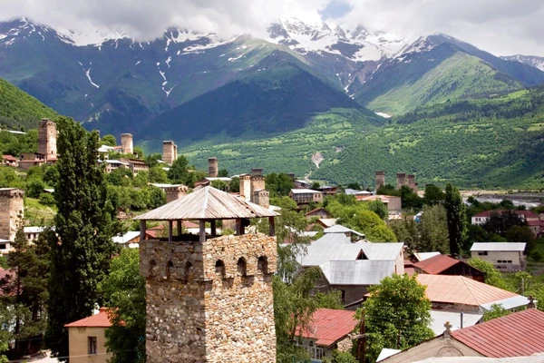 Wehrtürme und grüne Landschaften in Mestia, Georgien