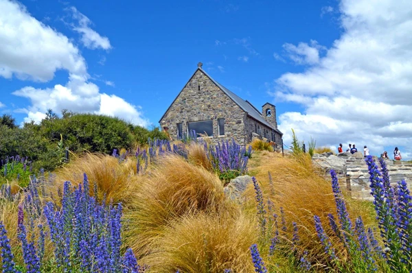 Entdecken Sie die Kirche am Lake Tekapo, umgeben von blühender Natur in Neuseeland.