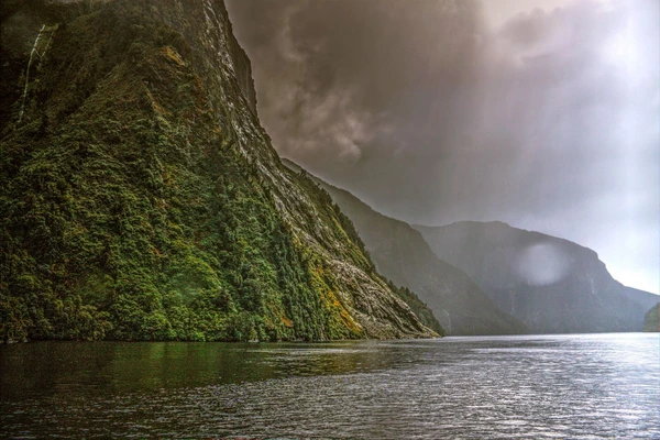 Doubtful Sound in Neuseeland: Eine ruhige Küstenlandschaft im Nebel