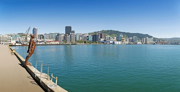 Die ‚Solace of the Wind‘ in Wellington: Entspannen am Ozean in Neuseeland