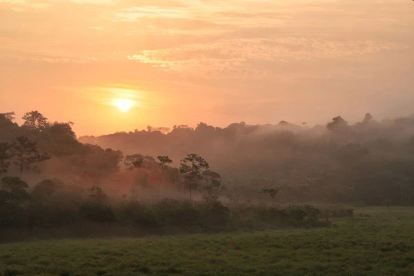 Sonnenaufgang im Loango-Nationalpark, Gabun – Ein ruhiger Moment in der Natur
