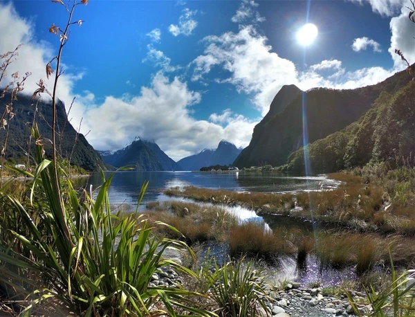 Die idyllische Kulisse von Milford Sound in Neuseeland